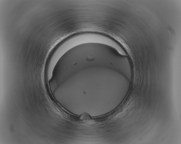 X0000113080391200909250953
