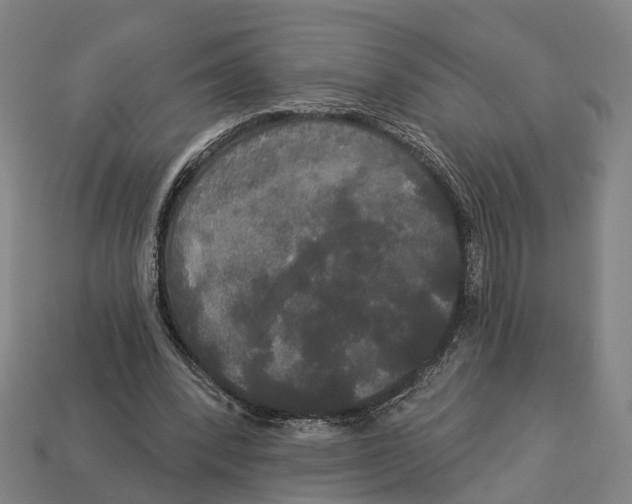 X0000113080392200909250953