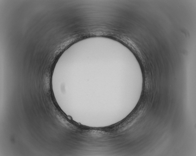 X0000113080393200909250953