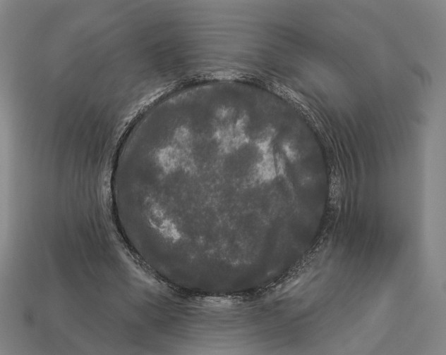 X0000113080394200909250953