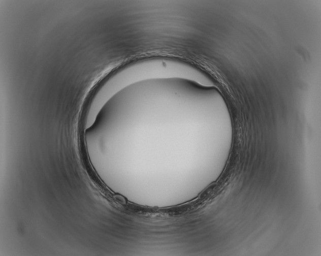 X0000113080395200909250953
