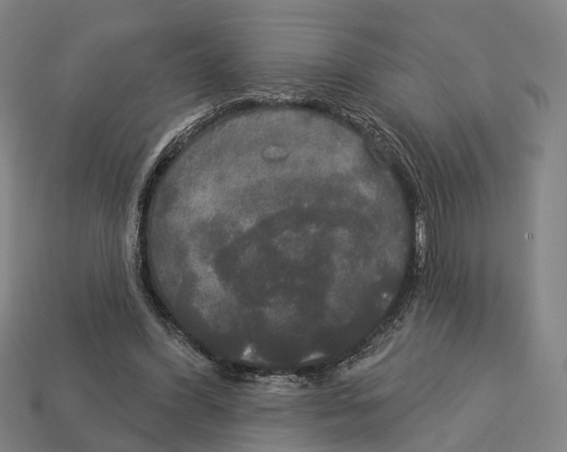 X0000113080396200909250953