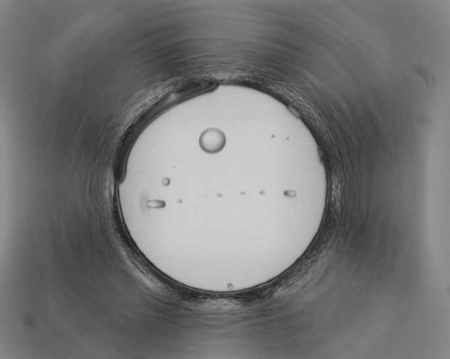 X0000113080397200909250953