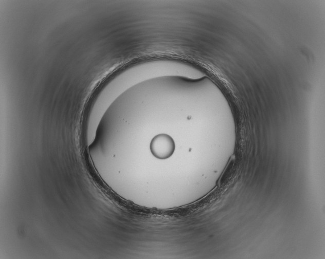 X0000113080399200909250953