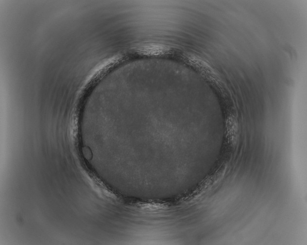 X0000113080400200909250953