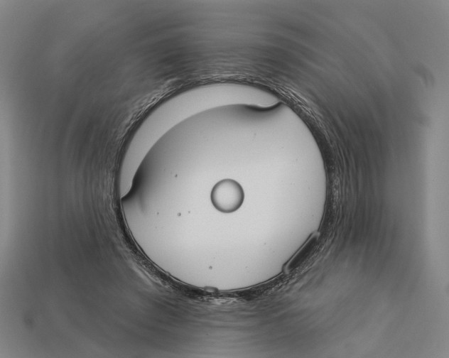 X0000113080401200909250953