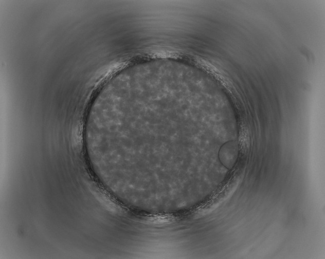 X0000113080402200909250953
