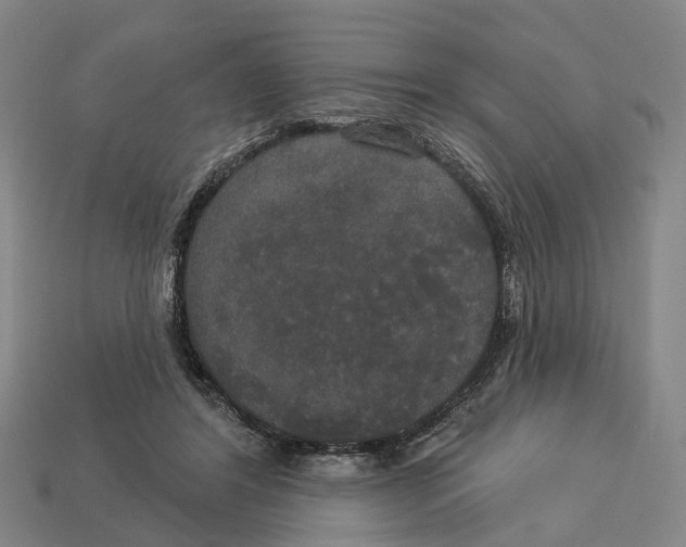 X0000113080404200909250953