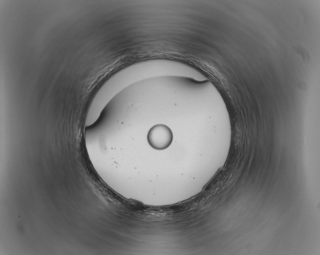 X0000113080405200909250953