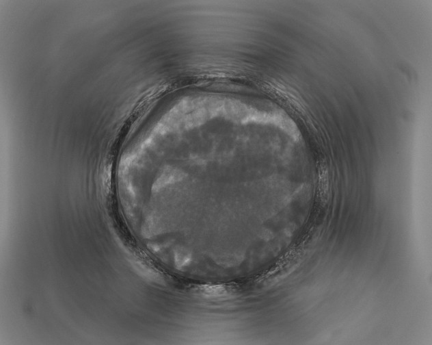 X0000113080406200909250953