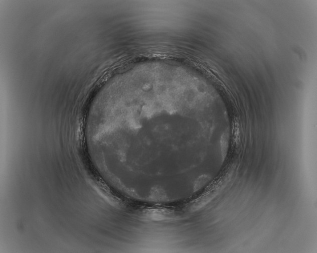 X0000113080408200909250953