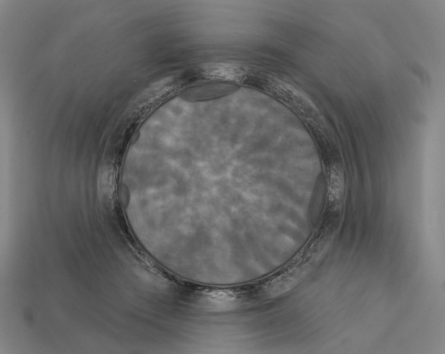 X0000113080409200909250953