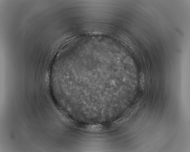X0000113080410200909250953
