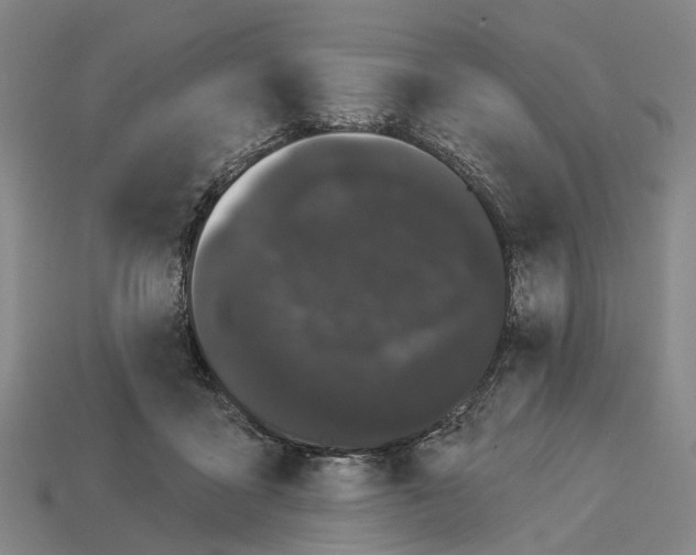 X0000113080411200909250953