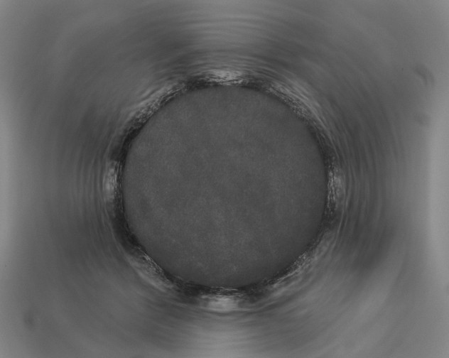 X0000113080412200909250953