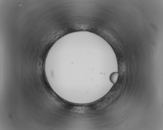 X0000113080414200909250953