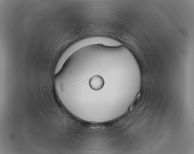 X0000113080415200909250953