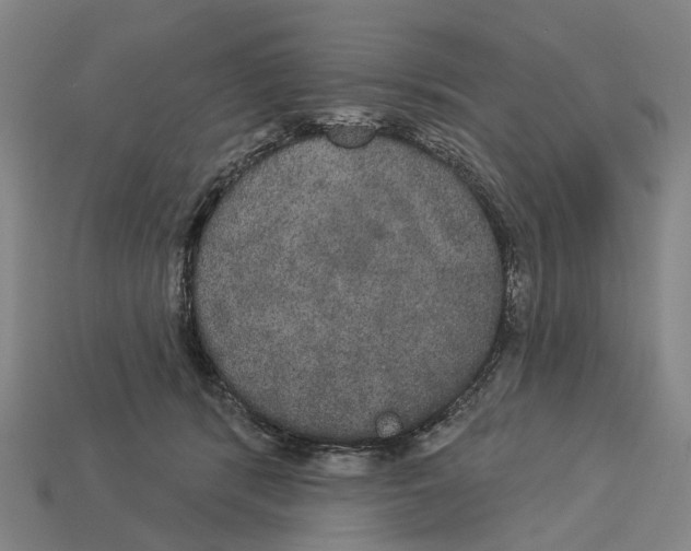 X0000113080416200909250953