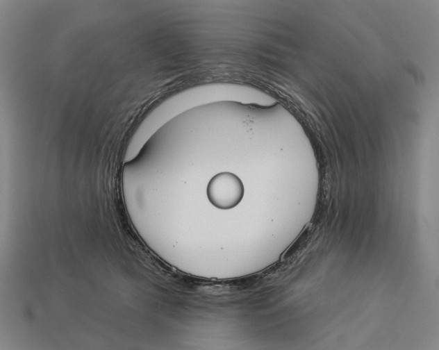 X0000113080417200909250953