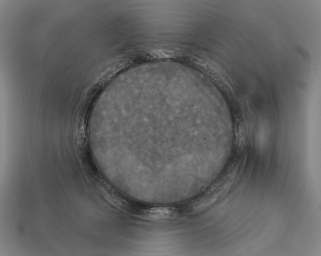 X0000113080418200909250953