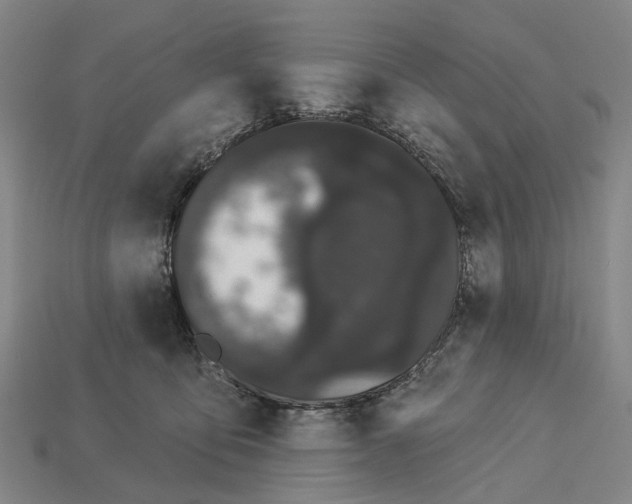 X0000113080419200909250953
