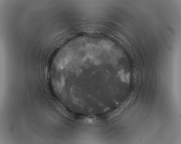X0000113080420200909250953