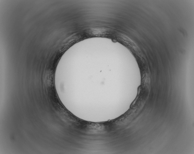 X0000113080421200909250953