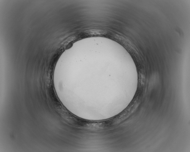 X0000113080422200909250953