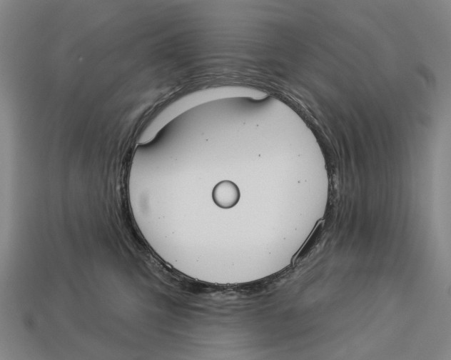 X0000113080423200909250953