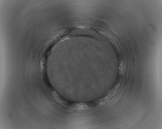 X0000113080424200909250953