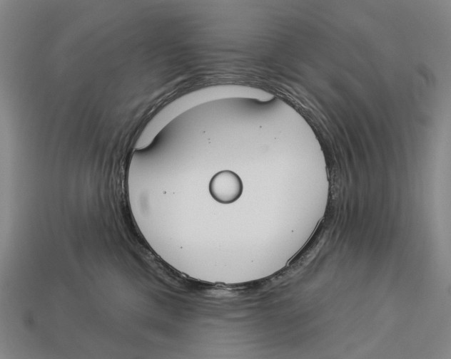 X0000113080425200909250953