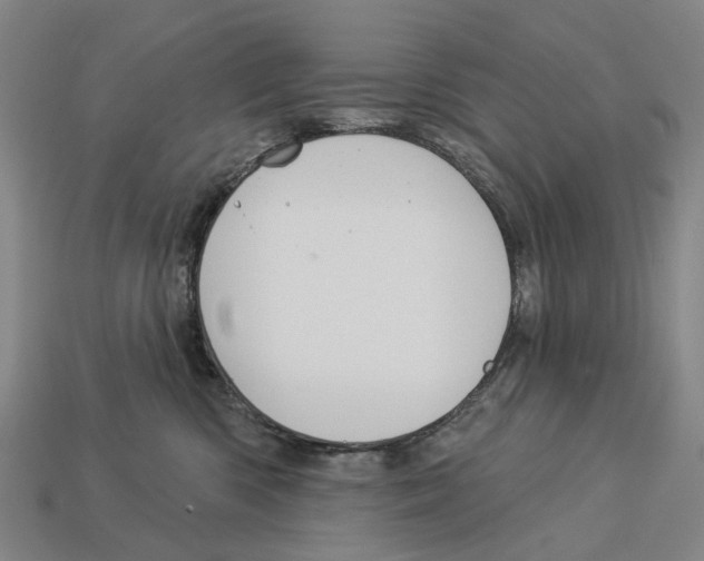 X0000113080426200909250953