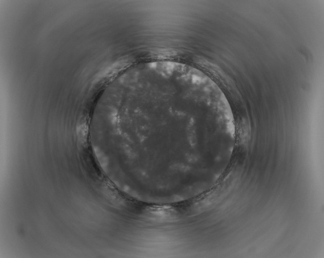 X0000113080427200909250953