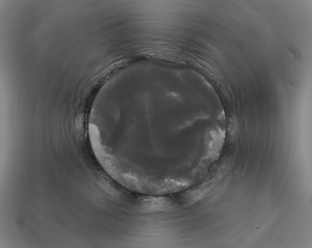 X0000113080428200909250953
