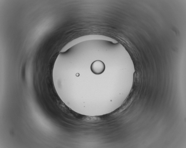 X0000113080429200909250953