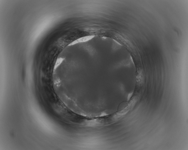 X0000113080430200909250953