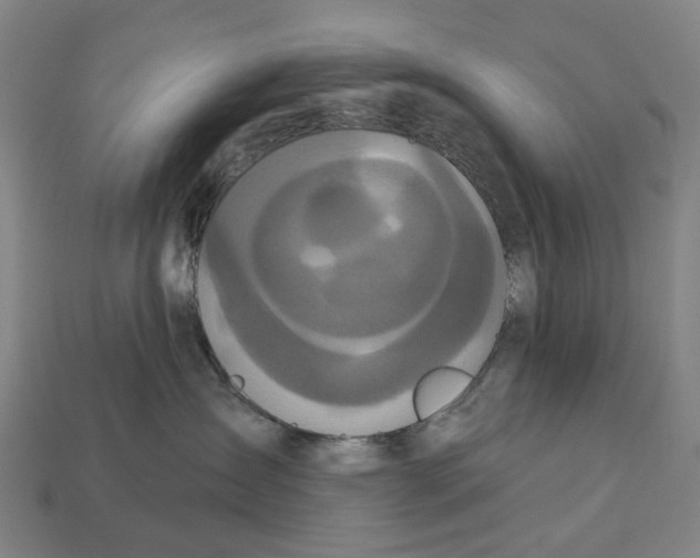 X0000113080431200909250953