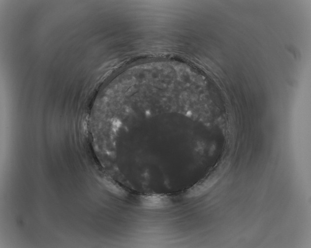 X0000113080432200909250953