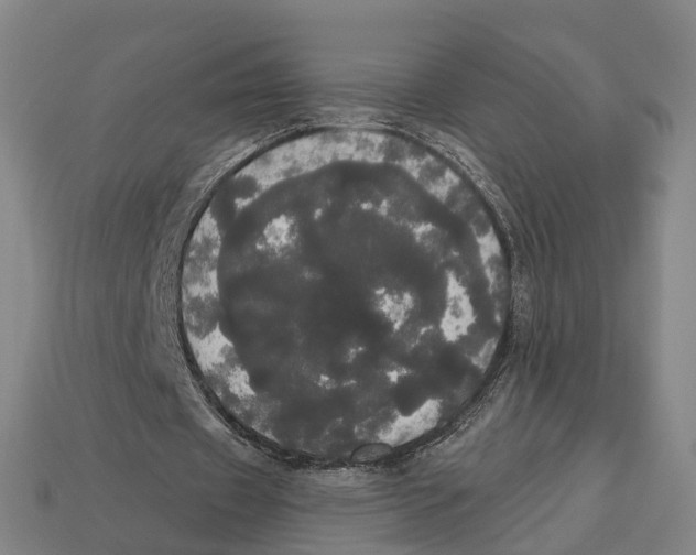 X0000113080433200909250952