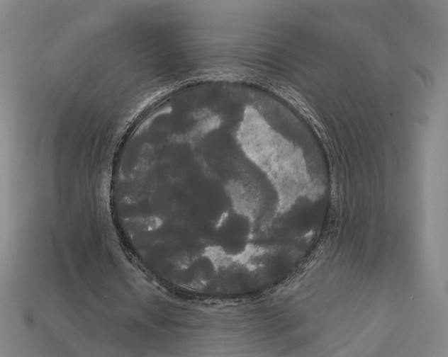 X0000113080434200909250952