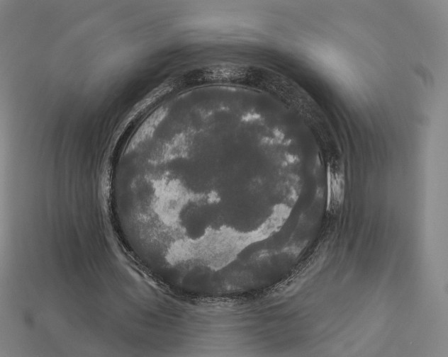 X0000113080435200909250952