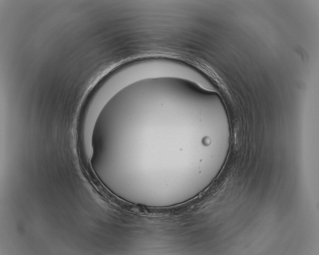 X0000113080436200909250952