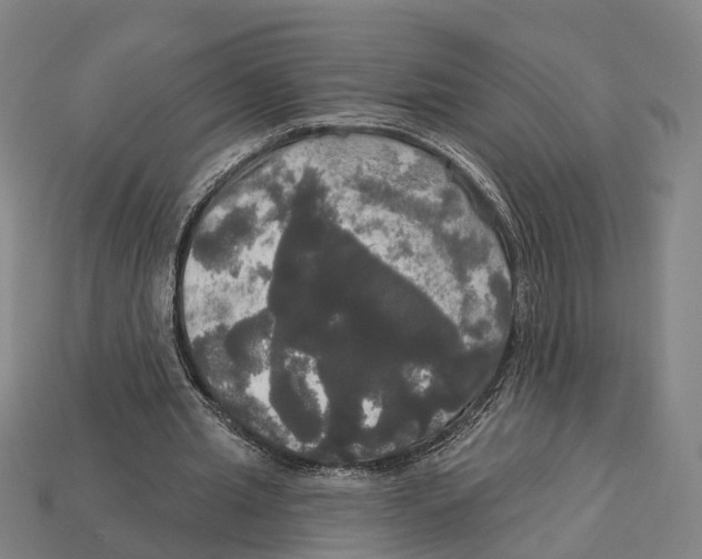 X0000113080437200909250952