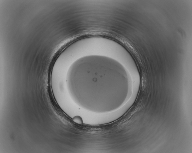 X0000113080438200909250952