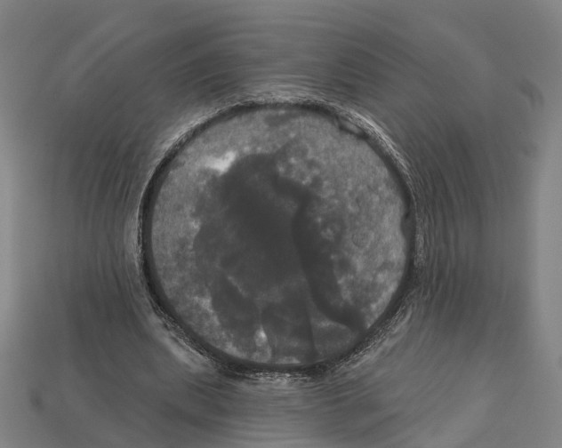 X0000113080439200909250952