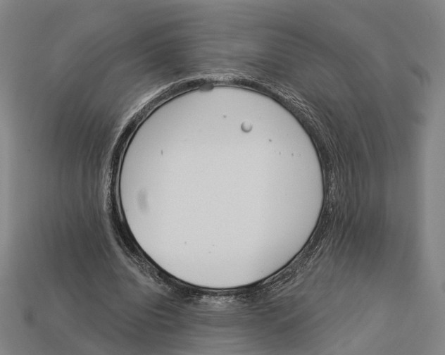 X0000113080440200909250952