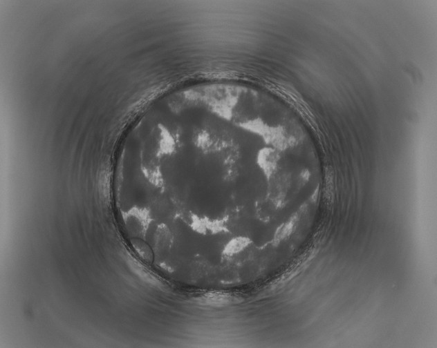 X0000113080441200909250952