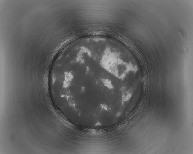 X0000113080442200909250952