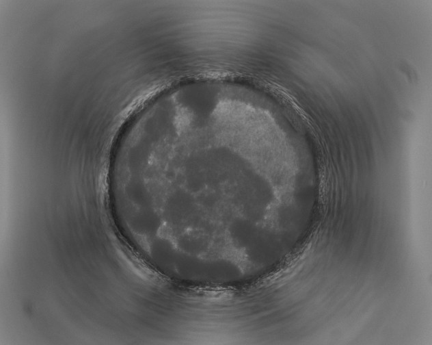 X0000113080443200909250952