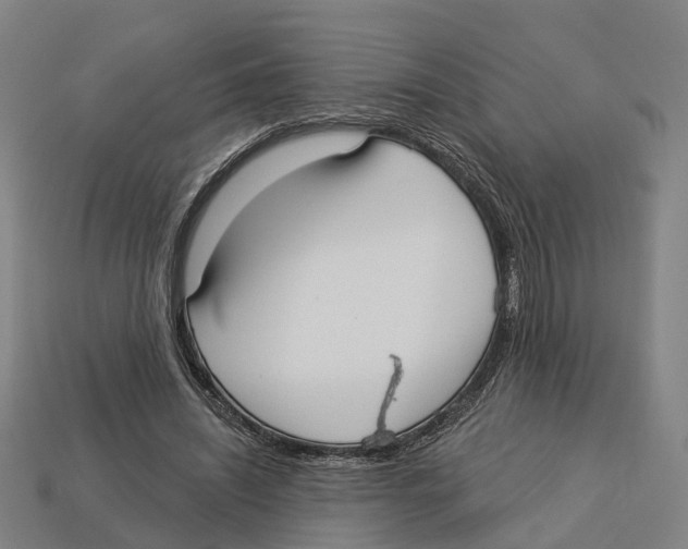 X0000113080444200909250952